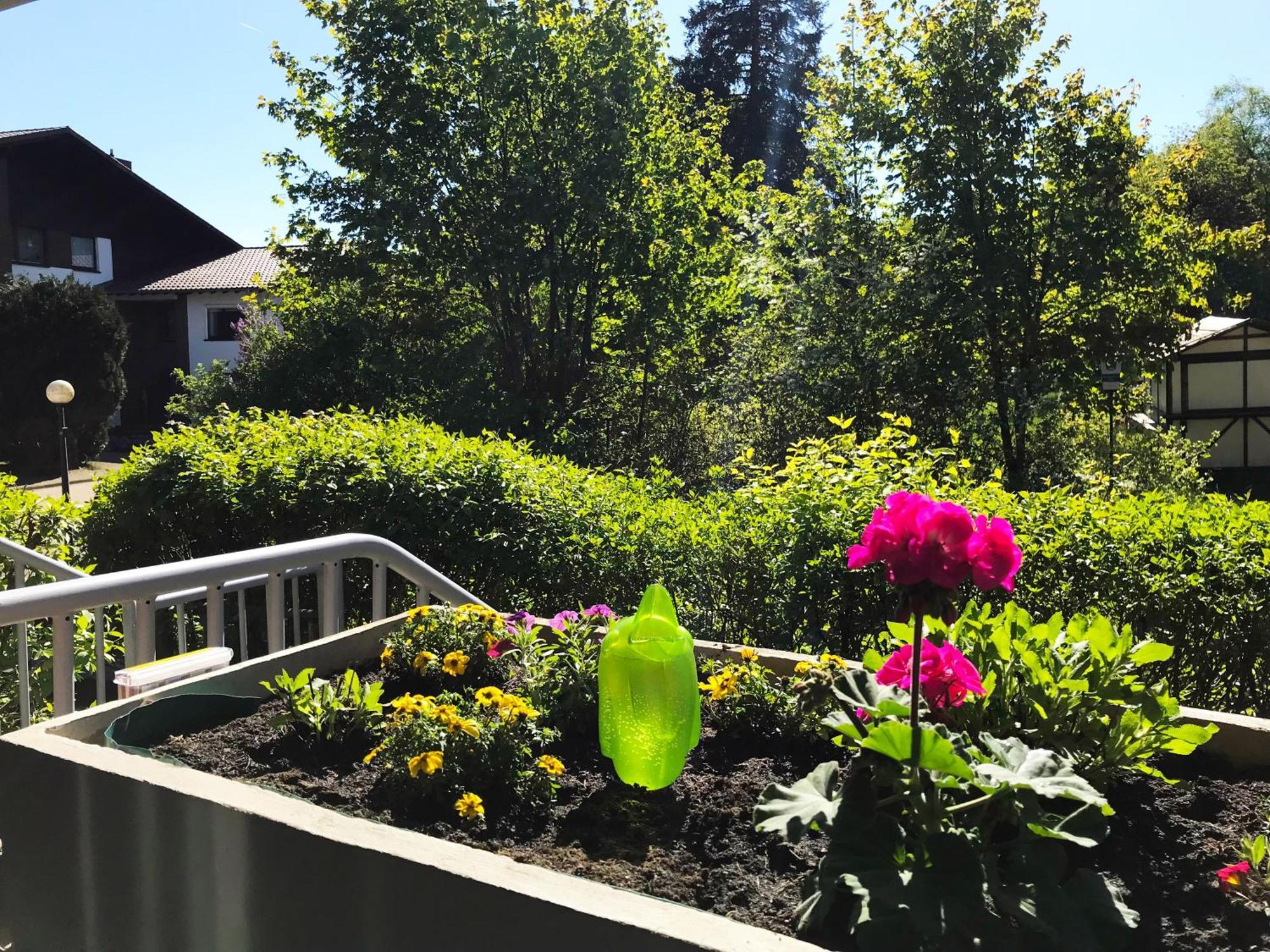 Ferienwohnungen Koehnke Goslar Ruang foto